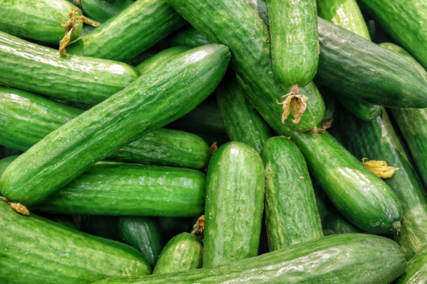 A Food Photo